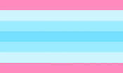 transmasc flag